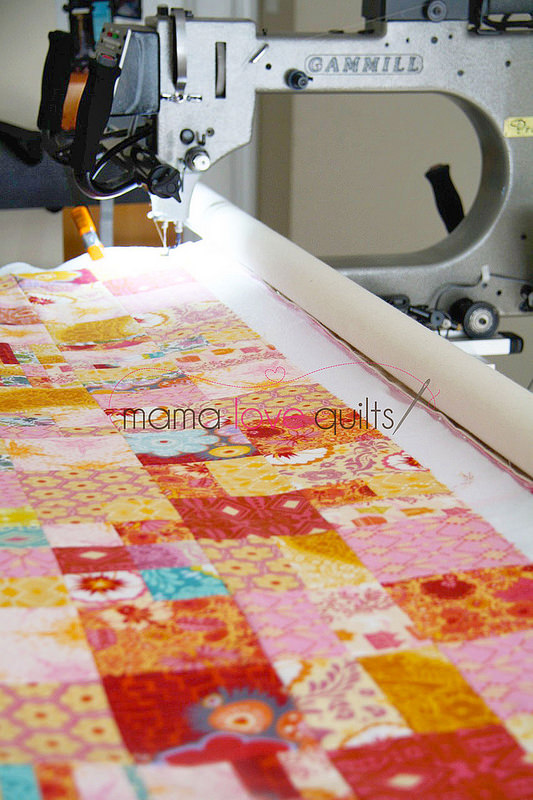 Anna Maria Horner Flannel Quilt_Long arm quilting