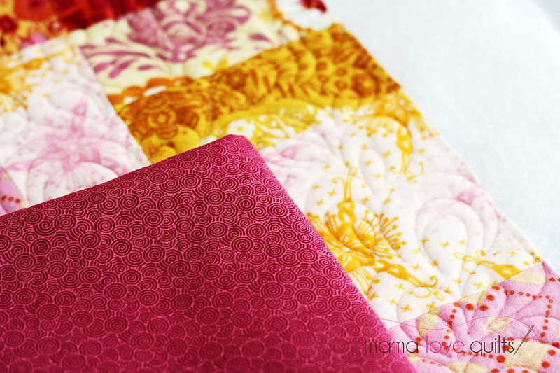 Anna Maria Horner Flannel Quilt_Binding fabric